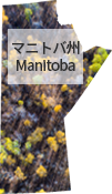 Manitoba
